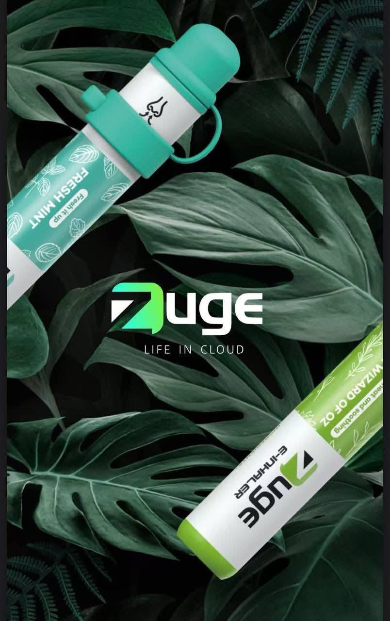 越南Zuge鼻吸式0丁/無丁電子菸拋棄式 無尼古丁-台灣現貨